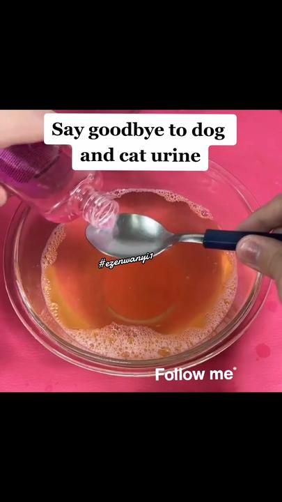 Dog Urine Remover, Cat Pee Smell Removal, Remove Cat Urine Smell, Pet Urine Smell, Cat Urine Remover, Cat Litter Box Mats, Cat Pee Smell, Cat Litter Box Liners, Cat Urine Smells