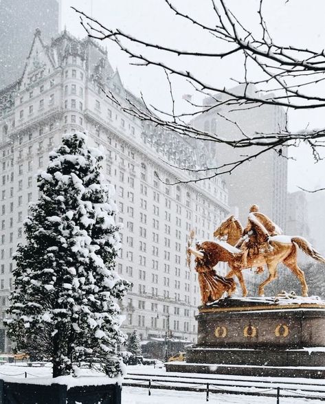 winter time The Plaza Hotel Nyc, Hotel Secrets, Lake George Village, Voyage New York, Nyc Christmas, Nyc Hotels, Plaza Hotel, Lake George, Aesthetic Pics