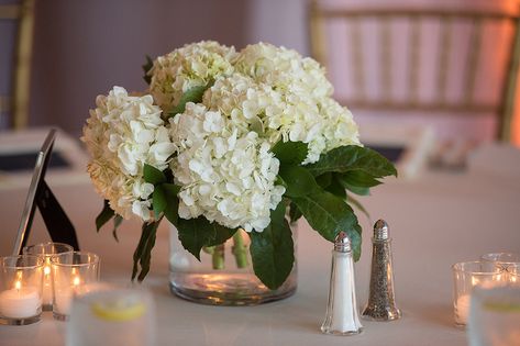 White hydrangea low centerpiece -- would love this without the leaves. Picture Wedding Centerpieces, Hydrangea Centerpiece Wedding, White Hydrangea Centerpieces, Wedding Flowers Hydrangea, Flowers Hydrangea, Greenery Centerpiece, Romantic Wedding Flowers, Hydrangea Centerpiece, Low Centerpieces