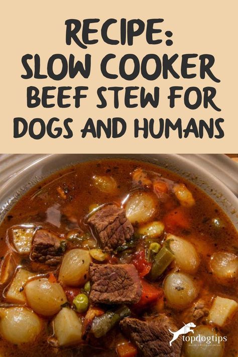 Dog Beef Stew Recipe, Crockpot Recipes For Dogs, Instant Pot Dog Food Recipes Beef, Dog Stew Recipe, Slow Cooker Dog Food Recipes, Beef Dog Food Recipes, Dog Soup Recipe, Beef Stew For Dogs, Stew For Dogs