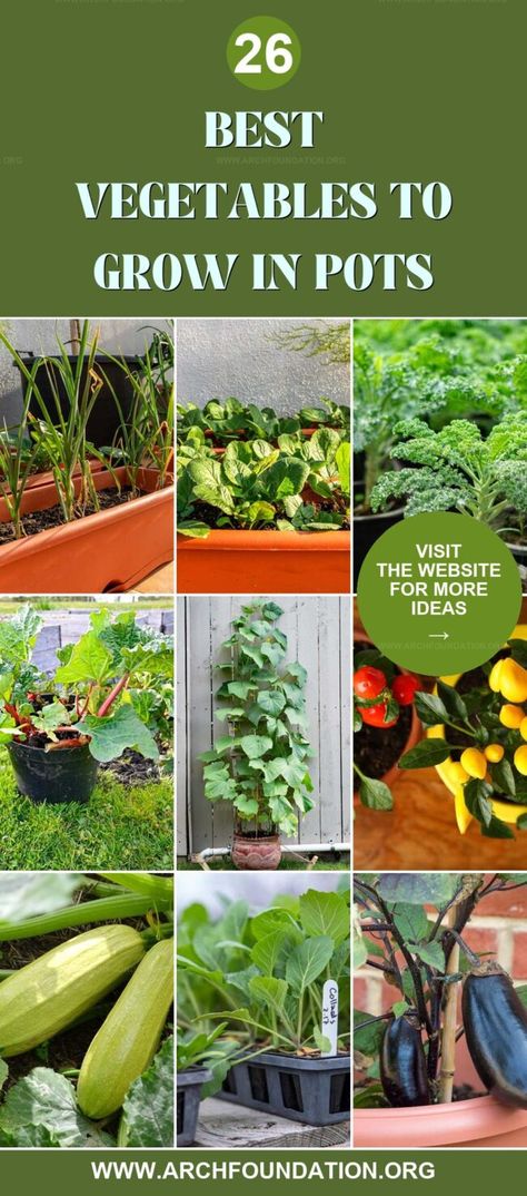 Vegetables To Grow In Pots, Best Vegetables To Grow, Growing In Pots, Plants Window, Sustainable Tips, Garden On A Budget, Growing Vegetables In Pots, Growing Organic Vegetables, Creamy Scrambled Eggs