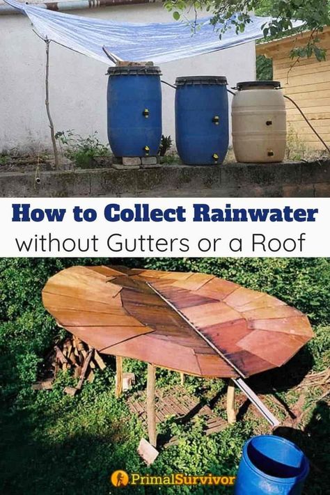 How to Collect Rainwater without Gutters or a Roof (with Pictures) Harvest Rainwater Diy, Rainwater Capture System, Water Collection Rainwater Harvesting, Rain Catching System, Rain Harvesting Ideas, Collecting Rainwater Diy, How To Collect Rain Water, Collecting Rain Water, Rain Catchment System