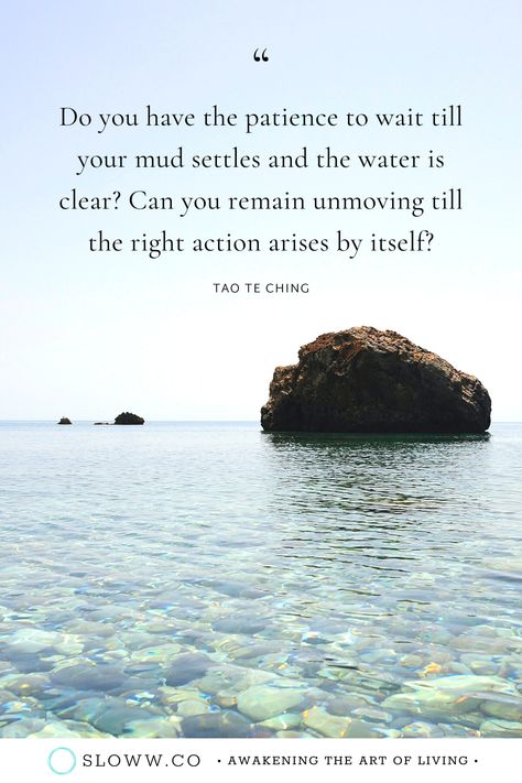 Do you have the patience to wait till your mud settles and the water is clear? Can you remain unmoving till the right action arises by itself? Tao Te Ching Lao Tzu Quote | #taoteching #taoquotes #taotechingquotes #laotzu #laotzuquotes #laozi #nonaction #enlightenment #awakening #spiritualgrowth #oneness #intentionalliving #consciousliving #mindfulliving Tao Quotes, Tao Te Ching Book, Tao Te Ching Quotes, Lao Tsu, Lao Tzu Quotes, Water Quotes, Tao Exo, Quotes On Love, Zen Quotes