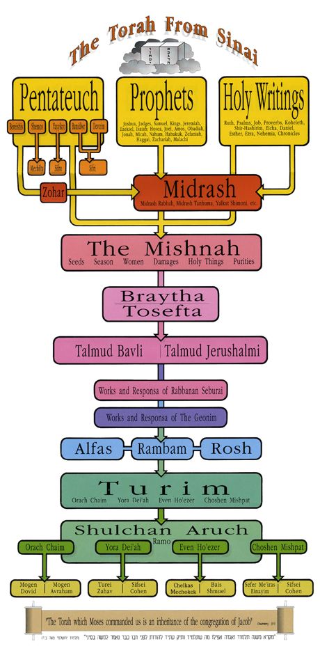 The Torah from Sinai - A Diagram - Shavuot Kosher Rules, Sabbath Quotes, Aviation Education, Torah Study, Simchat Torah, Prophet Isaiah, Hebrew School, The Torah, Jewelry Knowledge