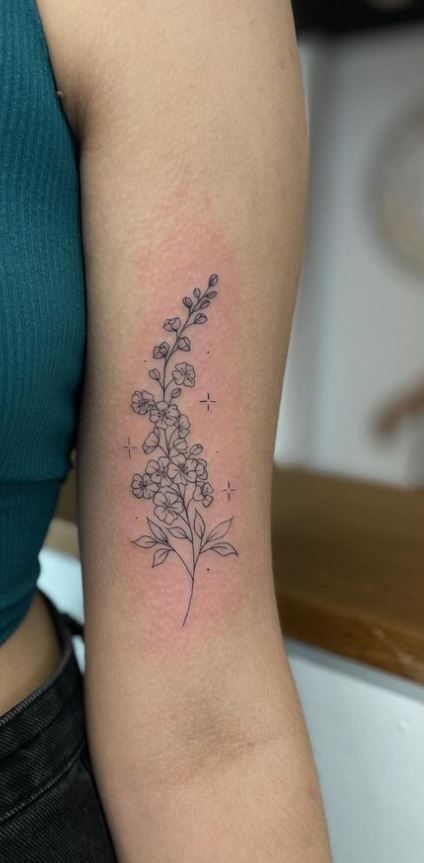 Birth Flower Tattoos Larkspur, July North Flower Tattoo, Larkspur Water Lily Bouquet Tattoo, July Bouquet Tattoo, Larkspur Hummingbird Tattoo, Larkspur And Moon Tattoo, Larkspur Chrysanthemum Tattoo, Larkspur Delphinium Tattoo, Larkspur And Daisy Flower Tattoo