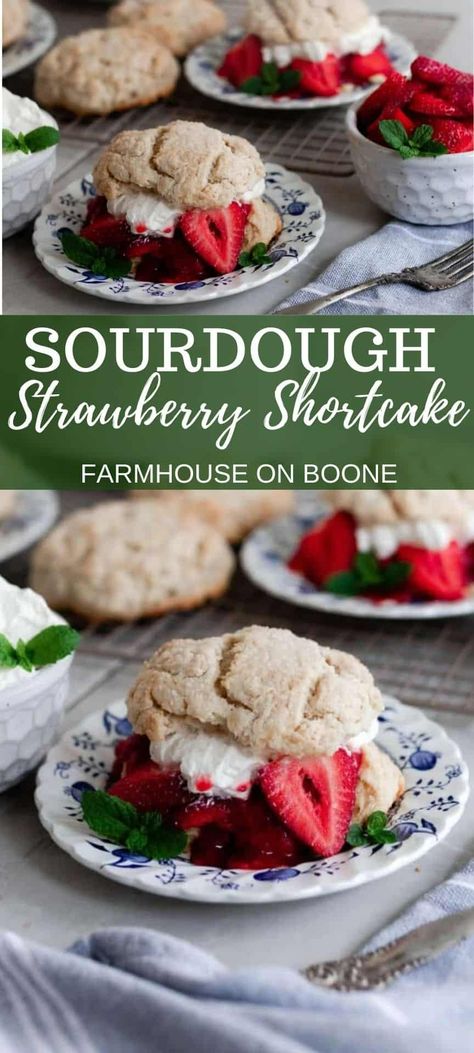 Sourdough Strawberry, Sourdough Biscuits, Strawberry Shortcake Recipe, Strawberry Shortcakes, Sourdough Starter Discard Recipe, Homemade Sourdough Bread, Strawberry Shortcake Recipes, Shortcake Recipe, Artisan Bread Recipes