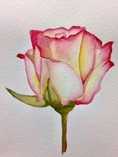 200 Watercolor journal ideas in 2022 | watercolor art, watercolor journal, art painting Single Pink Rose, Painting Ideas For Beginners, Canvas For Beginners, Canvas Painting Ideas, Watercolor Paintings For Beginners, Flower Art Drawing, Watercolor Flower Art, Watercolor Painting Techniques, Watercolor Art Lessons