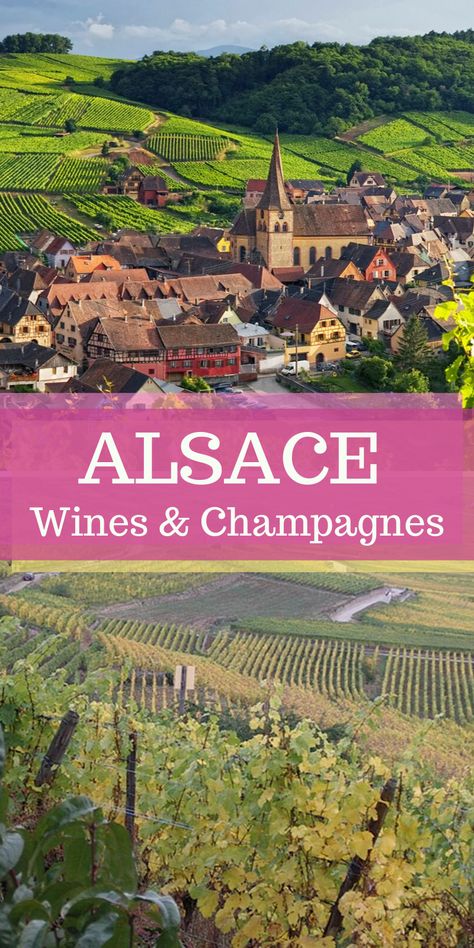 Northern France, Rhine River, French Countryside, Wine Region, Alsace, Mountain Range, Tourist Attraction, World's Best, Grapes