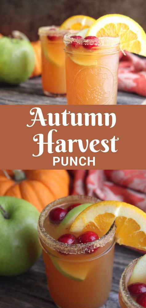 Easy Halloween Drinks, Halloween Drinks Alcohol Cocktails, Harvest Punch, Fall Drinks Alcohol, Alcohol Punch, Fall Punch Recipes, Alcohol Shots, Thanksgiving Punch, Thanksgiving Cocktail Recipes