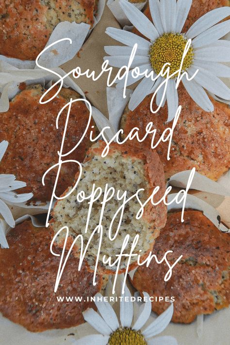 Homemade Poppyseed Muffins, Sourdough Discard Breakfast Muffins, Sourdough Poppy Seed Muffins, Sourdough Lemon Poppyseed Cake, Sourdough Discard Lemon Poppyseed Muffins, Poppyseed Muffin Recipe, Poppyseed Recipes, Lemon Poppy Seed Sourdough Muffins, Healthy Lemon Poppyseed Muffins