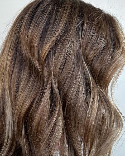 🧸 TEDDY BEAR BRUNETTE 🧸 - - - #ormondbeach #daytonabeach #palmcoast #portorange #flaglerbeach #ormondbeachstylist #ormondbeachhairdresser #ormondbeachhairstylist #ormondbythesea #ormondsalon #ormondhair #palmcoasthairstylist #palmcoasthair #daytonahair #daytonahairstylist #daytonasalons #moprofessional #moroccanoil Teddy Bear Brunette, Teddy Bear Brunette Hair, Teddy Bear Brown Hair, Bronde Hair, Brown Teddy Bear, Hair Brown, Moroccan Oil, Dream Hair, Hair Colour