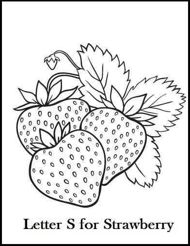 We have collection of fresh strawberry coloring pages to choose from. The illustration of pictures is fairly basic and meant for youngsters, but some Strawberry Drawing, Strawberry Color, Food Coloring Pages, Fruit Coloring Pages, Pola Bordir, صفحات التلوين, Pola Kartu, Pola Sulam, Cute Coloring Pages