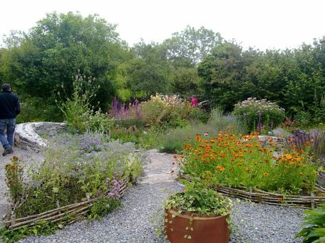 Gardens at the Burren Perfumery Co Clare Days Out, Plants, Travel