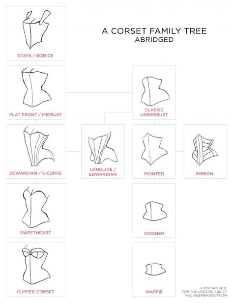 A Corset Family Tree, Abridged. Illustrations © Pop Antique. Corset Making, Diy Corset, Edwardian Corsets, Purple Corset, Corset Styles, Corset Training, Fashion Dictionary, Corset Pattern, Corset Fashion