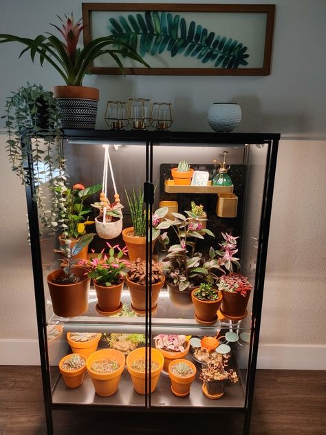 Plant Closet, Ikea Plant Cabinet, Plant Cabinet Display, Living Room Plant Decor, Room Plant Decor, Houseplant Display, Plant Cabinet, Plant Decoration Ideas, Indoor Plant Decor Ideas