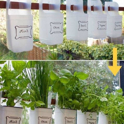 Every gardener has their own wacky solutions that really work, so we’ve rounded up some of the best #GardeningHacks from Instagram that will save you time and major frustration. Here are 10 of our fav Milk Jugs Garden, Milk Jug Crafts, Plastic Milk, Vertical Herb Garden, Gardening Hacks, Milk Jugs, Rustic Crafts, Diy Greenhouse, Growing Herbs