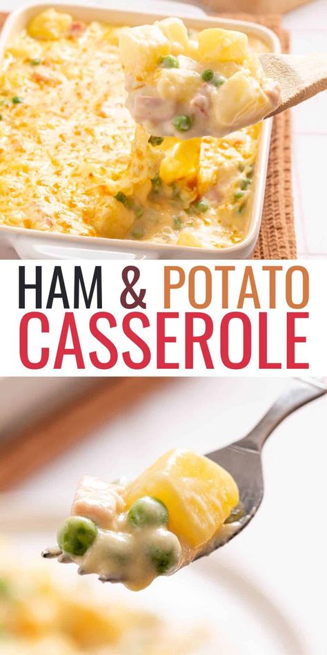 Ham Veggie Casserole, Ham Potatoes Casserole, Ham And Potato Casserole Recipes, Casseroles With Ham, Ham And Potatoes Casserole, Potato And Ham Casserole, Ham Casseroles, Ham Potato Casserole, Cheesy Ham And Potato Casserole