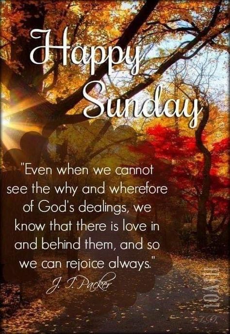 Sunday Morning Wishes, Saturday Greetings, Happy Sunday Images, Sunday Morning Quotes, Good Sunday Morning, Sunday Greetings, Sunday Wishes, Morning Quotes For Friends, Good Morning Greeting Cards