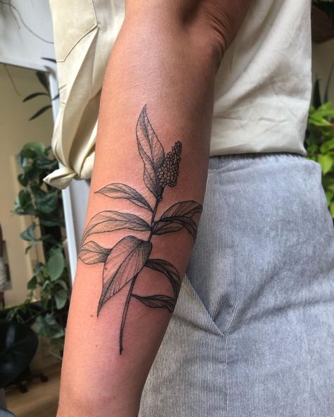 Ginger Plant Tattoo, Ginger Flower Drawing, Ginger Flower Tattoo, Ginger Tattoo, Ginger Plant, Ginger Flower, Plant Tattoo, Piercings And Tattoos, The Plant