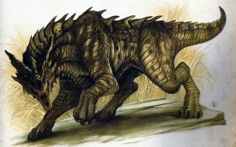 Common drake from dracopedia drawing book by William O'Connor Drake Dragon, Drake Art, Beast Creature, Creatures Art, Fantasy Beasts, Monster Concept Art, Creature Drawings, Fantasy Monster, Fantasy Creatures Art