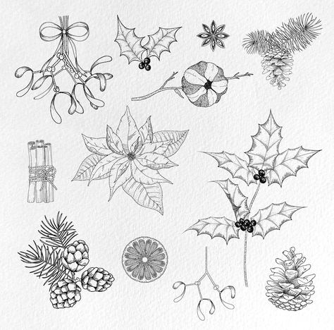 Christmas Botanical Clipart SVG Vector Winter Line Art - Etsy Australia Christmas Line Drawings Art, Christmas Botanical Illustration, Poinsettia Tattoo, Mistletoe Drawing, Line Art Christmas, Stamps Png, Christmas Sketch, Christmas Drawings, Lino Cut