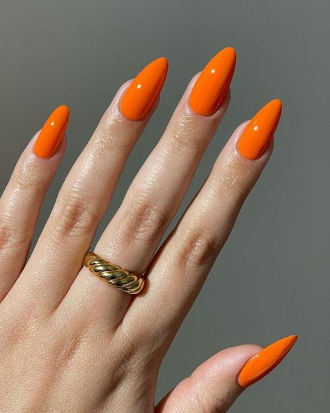 Fall Ombre, Summer Nail Polish, Solid Color Nails, Nail Forms, Trendy Nail Art, Orange Nails, Manicure Y Pedicure, Funky Nails, Nail Designs Summer