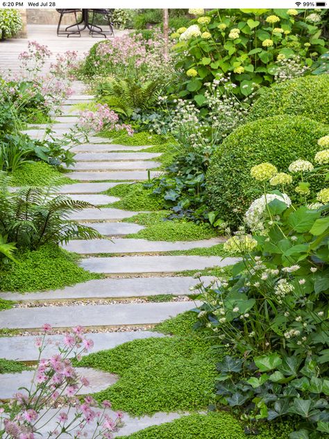 Iris Landscaping, Rose Terrace, Garden Design Inspiration, Evergreen Garden, Prairie Garden, Gothic Garden, Garden Images, Blue Spruce, Contemporary Garden