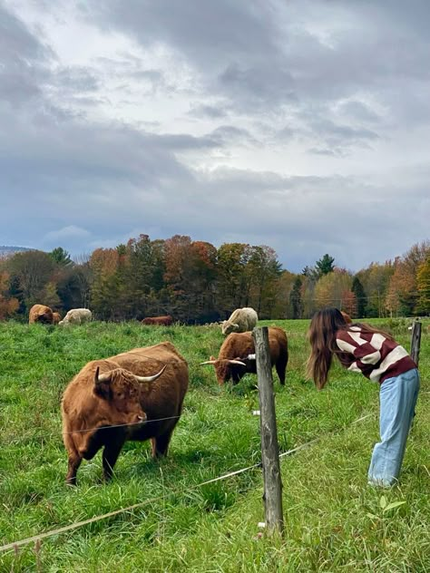 New England Countryside, New England Girl Aesthetic, Vermont Fall Aesthetic, Summer In Vermont, Vermont Aesthetic Summer, New England Fall Aesthetic, Vermont Aesthetic, Mountain Cowgirl, Summer Visionboard