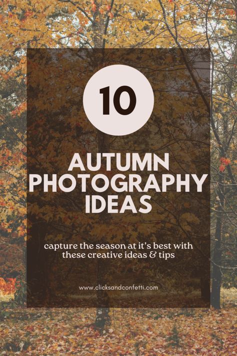 Autumn Photography Ideas: 10 Ways to Capture This Season Autumn Photography Ideas, Nature Photography Tips, Autumn Scenes, Colorful Trees, Photography For Beginners, Best Seasons, Depth Of Field, Lens Flare, Fall Photos