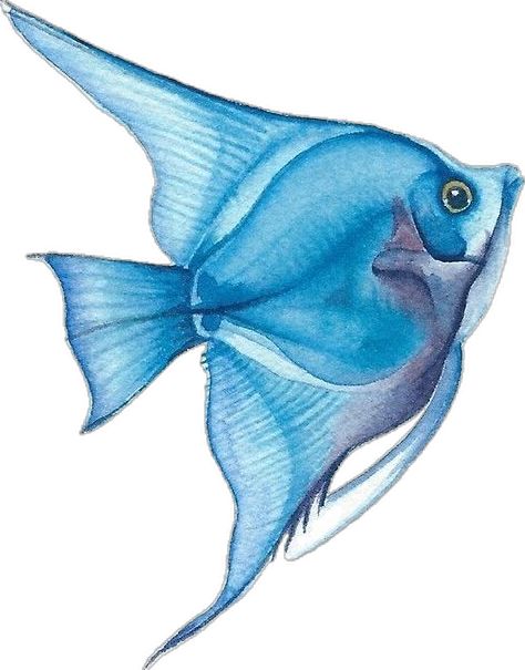 Sea Creatures Drawing, Watercolor Fish, Sea Art, Fish Painting, Drawing Lessons, Art Drawings Sketches Simple, Colorful Drawings, Doodle Drawings, Art Drawings Simple