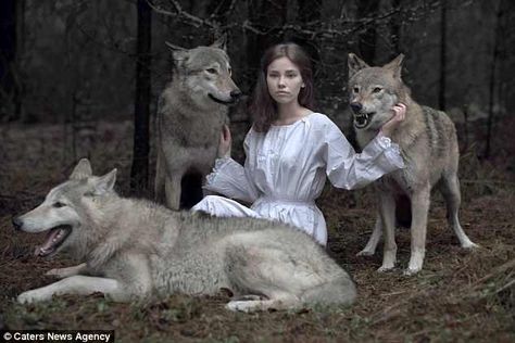 Werewolf Aesthetic, Wolves And Women, Enchanted Wood, Wolf Pictures, Fantasy Photography, Wolf Girl, Wild Dogs, Alam Yang Indah, Red Riding Hood