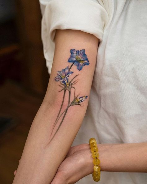 Gentiana Flower Tattoo, Gentian Flower Tattoo, Blue Flower Tattoos For Women, Tattoo Blue Ink, Blue Flower Tattoo, Gentian Flower, Blue Flower Tattoos, Flowers For Algernon, Flower Tat