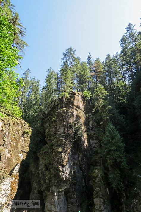 Ravine Aesthetic, Loz Aesthetic, Old Theatre, Architecture References, Canada Mountains, Rocky Landscape, Jungle Tree, Rocky Hill, Observation Deck