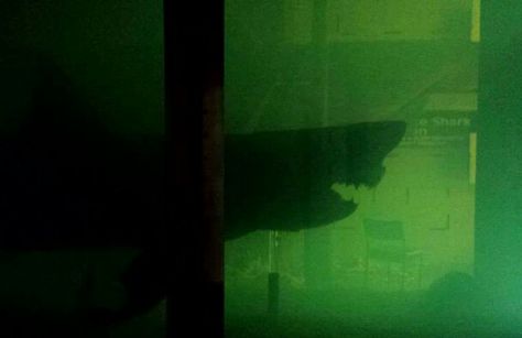 Wildlife wonderland, Bass, Victoria Australia. old great white shark abandoned in tank. Left to rot Creepy Aquarium, Ocean Horror, Creepy Images, Under The Ocean, The Adventure Zone, Sea Dweller, Horror Themes, Film Inspiration, The Expendables