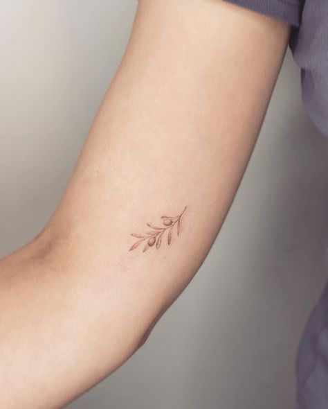 Olive Tree Tattoos, Greece Tattoo, Olive Tattoo, Delicate Tattoos For Women, Olive Branch Tattoo, Lavender Tattoo, Branch Tattoo, Small Pretty Tattoos, 4 Tattoo