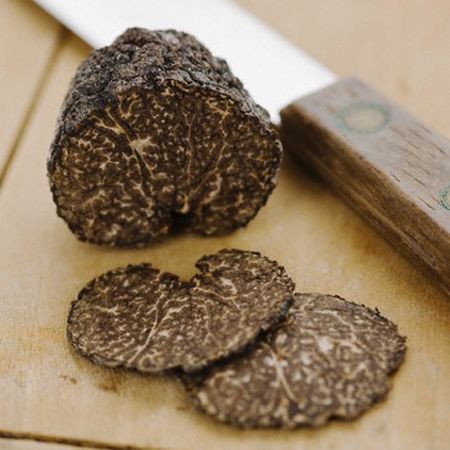 White Truffle Fever Makes the Season Glow - Viking Range, LLC Black Truffle Recipe, Truffle Mushroom, Truffle Hunting, San Miniato, White Truffle Oil, Gourmet Dinner, White Truffle, Black Truffle, Executive Chef