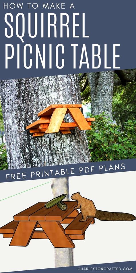 This entertaining DIY is a great one to do with the kids! They will find joy in watching their squirrel friends enjoy their mini picnic table. Here is how to make a squirrel picnic table:   https://loom.ly/gYsZayU Garden Table Plans, Squirrel Feeder Diy, Picnic Table Woodworking Plans, Squirrel Picnic Table, Printable Woodworking Plans, Diy Picnic Table, Picnic Table Plans, Wooden Picnic Tables, Squirrel Feeder