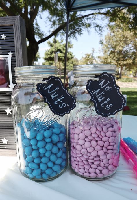 Gender Reveal Picnic, Intimate Gender Reveal, Fishing Gender Reveal, Gender Reveal Party Food, Gender Reveal Diy, Simple Gender Reveal, Gender Reveal Baby Shower Themes, Creative Gender Reveals, Baby Gender Reveal Party Decorations