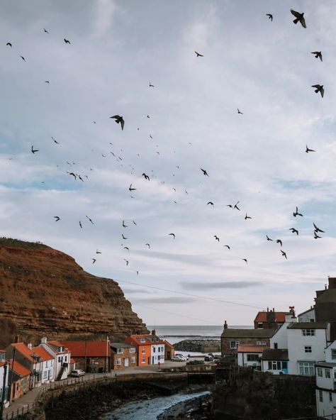 Staithes 🌊 the ultimate Saturday stroll 🧍🏼‍♂️ This place didn't disappoint, Yorkshire's coastline is unmatched for harbour towns and villages. . . . . . #yorkshire #your_yorkshire #your_britain #coastline #travelphotography #ukpotd #postcardplaces #scenesofyorkshire #excellent_britain #wildernessculture #welcomenature #folkscenery #outdoortones #natures_moods #inspiredbyfolk #staithes #yorkshirecoast @your_yorkshire @igers_yorkshire @landscapes_of_britain @raw_landscape__ @ukpotd @uk.s... Harbour Town, February 1, Yorkshire, Travel Photography, On Instagram, Quick Saves, Instagram, Nature