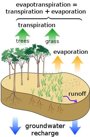 Are you still wondering why vvapotranspiration matters and how to calculate it? Let HydroPoint help you out. Contact them for more information about ET and let them save you from over-watering. Water Cycle Project, Cycle Drawing, Types Of Mulch, The Water Cycle, Urban Heat Island, Water Scarcity, Agriculture Education, Water Cycle, High School Science