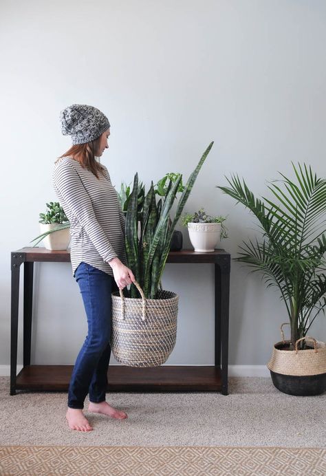 Houseplants add texture and color and go with any style of home decor. Use these tips to learn the basic of how to keep houseplants alive! Houseplants For Beginners, Lodge Ideas, Plant Friends, Koti Diy, Tanaman Indoor, Interior Boho, Room Vibes, Interior Design Minimalist, Gardening Diy