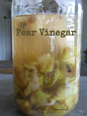 Hill House Homestead: Long Time No See & Pear Vinegar - pinned from the Party On The Porch Pear Vinegar, Quince Recipes, Diet Salad Recipes, I Woke Up Today, Gaps Recipes, Cozy Little House, Nourishing Traditions, Fermentation Recipes, Long Time No See