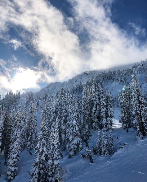 Steven's Pass 🏂❄⛷ Washington. 🏞 #evergreenstate #emeraldcity #tourism #travelseattle #stevenspass #pnw #washingtonstate #Washington #cascades #cascademountains #travelstevenspass #mountains #snowboarding #countryliving #skiing #nature Stevens Pass Washington, Washington Mountains, Washington State Travel, British Columbia Canada, Evergreen State, Olympic Peninsula, San Juan Islands, Cascade Mountains, Puget Sound