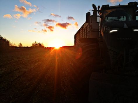 Tractor Sunset, Fendt Tractor, Country Pictures, Agriculture, Tractor, Corn, Pins, Quick Saves