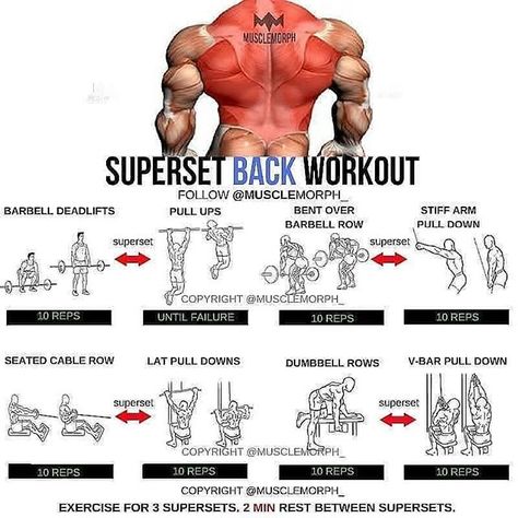 Gym Antrenmanları, Weight Training Workouts, Gym Routine, Workout Chart, Chest Workouts, Biceps Workout, Push Ups, Body Fitness, Gym Workout Tips