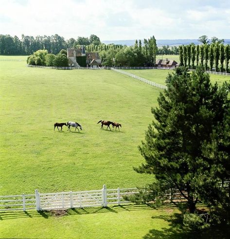 #aesthetic #nature Farm Backyard, Gado Leiteiro, Henry Clarke, Stud Farm, Dream Horse Barns, Farm Land, Farm Layout, Farm Lifestyle, Future Farms