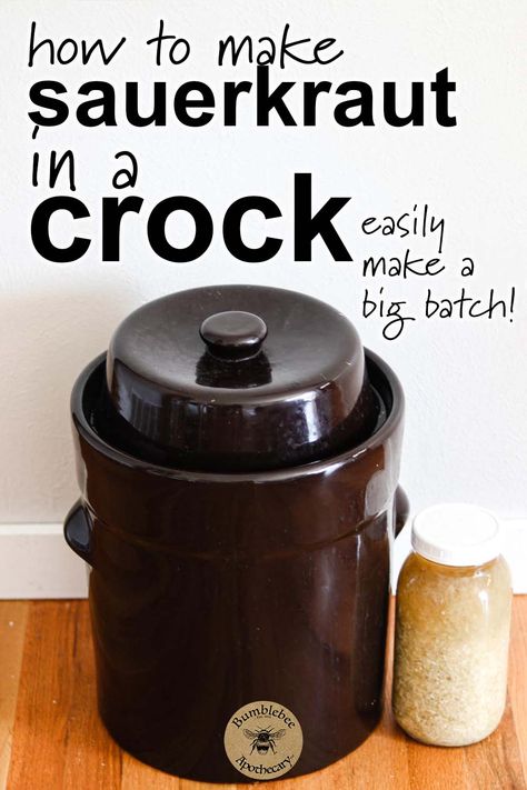 Easily make a big batch of the most delicious sauerkraut using the traditional stoneware crock method. Sauerkraut crock recipe, how to make sauerkraut in a crock. #healthyrecipes #fermentedfoods #forgut Sauerkraut In A Crock, Sauerkraut Crock, Gaps Diet Recipes, Make Sauerkraut, Crock Meals, Making Sauerkraut, Sauerkraut Recipe, Homemade Sauerkraut, Fermentation Crock