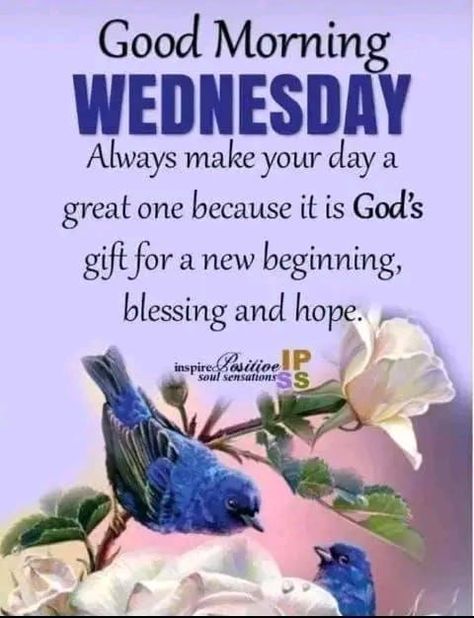 Wednesday Morning Wishes, Wednesday Wisdom Quotes, Happy Wednesday Blessings, Inspire Positive Soul Sensations, Inspirational Morning Prayers, Wednesday Morning Greetings, Wednesday Morning Quotes, Wednesday Blessings, Quotes Morning