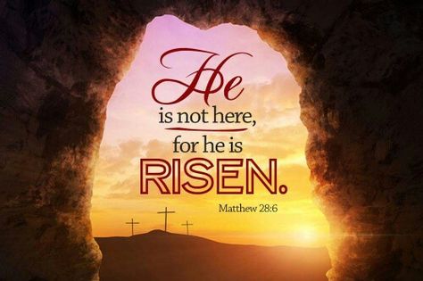 Good Morning Happy Easter, Marriage Struggling, Happy Easter Jesus, Sunday Bible Verse, Bible Verse Kjv, Easter Verses, Easter Bible Verses, Bible Verses Kjv, Jesus Is Alive