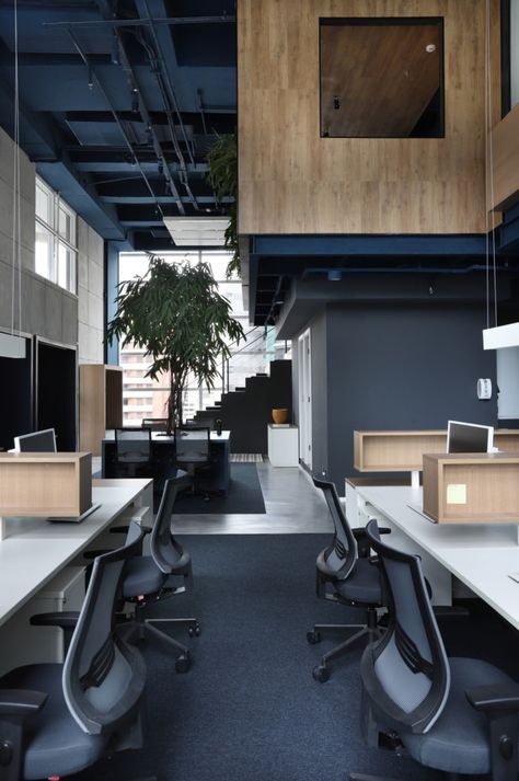 Plywood Stairs, Employee Wellbeing, Stairs Wood, Office Redesign, Office Idea, Office Space Corporate, Industrial Office Design, Blue Office, Office Lounge